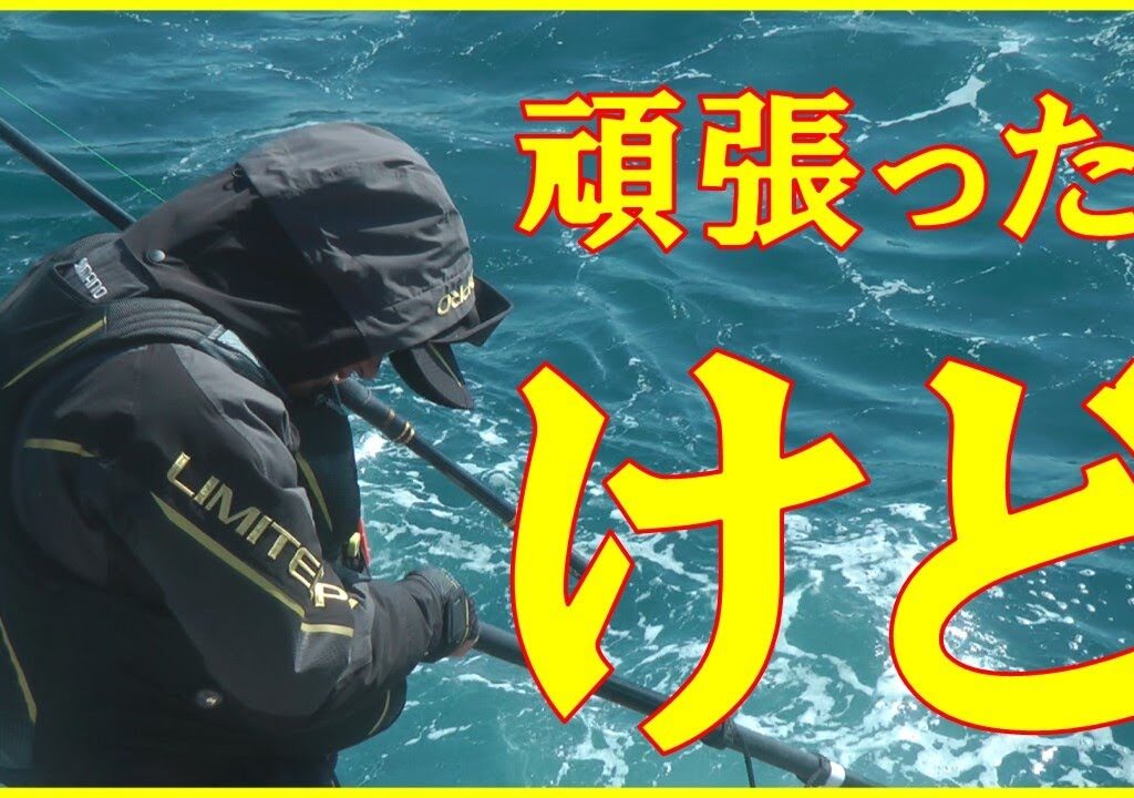 2025/3/9和歌山県那智勝浦【太師丸渡船】(グレ釣り)　釣れたらいいね！なんちゃんチャンネル