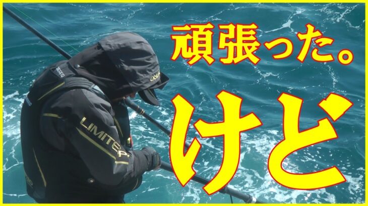 2025/3/9和歌山県那智勝浦【太師丸渡船】(グレ釣り)　釣れたらいいね！なんちゃんチャンネル