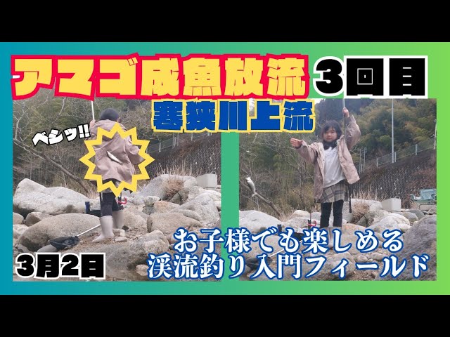 🔰初心者釣りガール大活躍✨ポカポカ陽気のアマゴ成魚放流3回目🎣オススメ仕掛け巻きのご紹介👍【愛知県寒狭川上流】