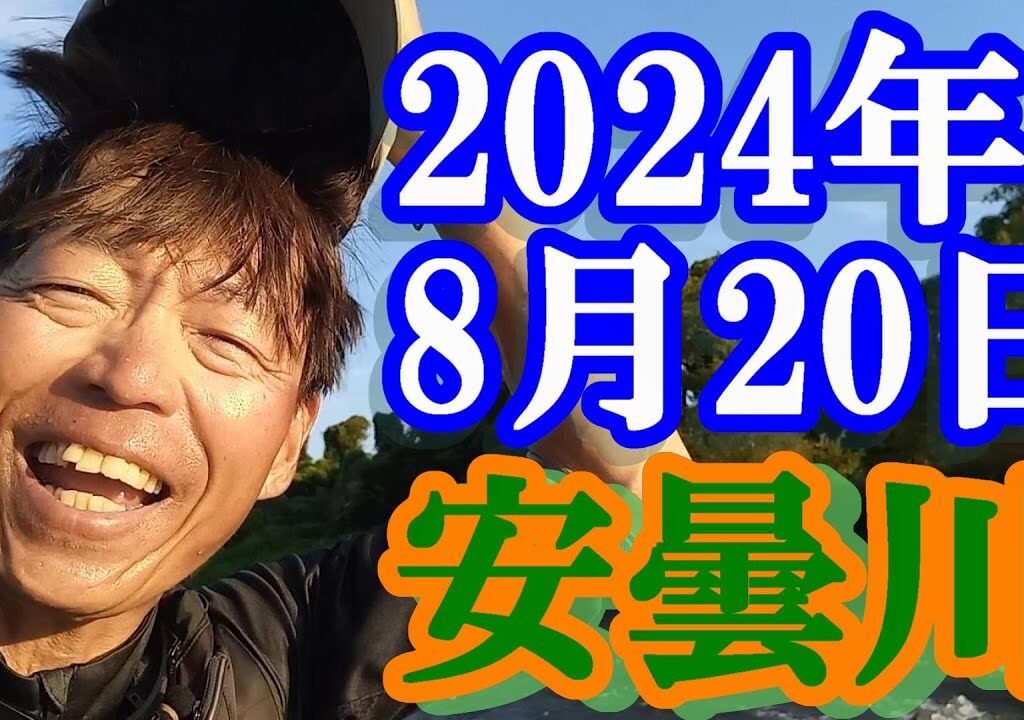 鮎釣り  30cm増水引水 広瀬橋上下 安曇川 2024年