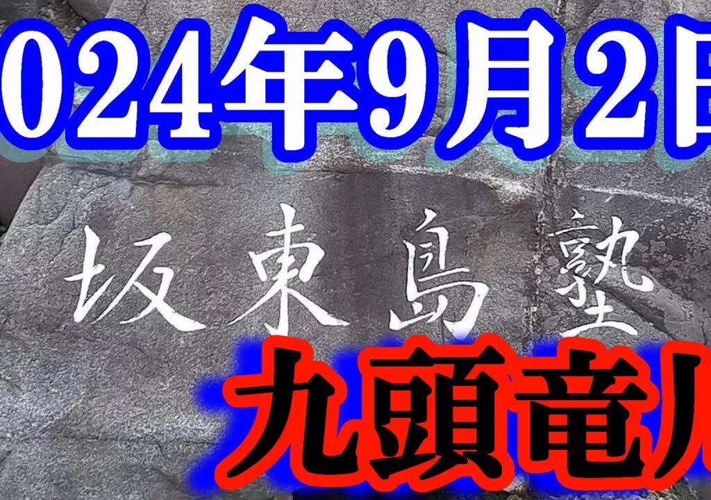 鮎釣り 30cm高笹濁り 谷口  九頭竜川 2024年