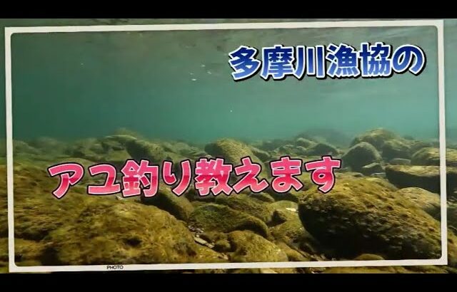 LET’S TRY 楽しい川釣り～アユ釣り編～