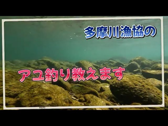 LET’S TRY 楽しい川釣り～アユ釣り編～