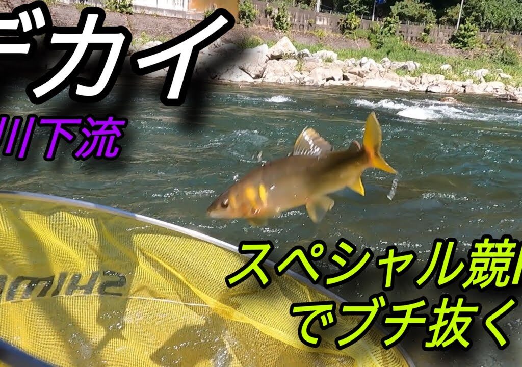 スペシャル競RSでデカイ鮎をブチ抜く
