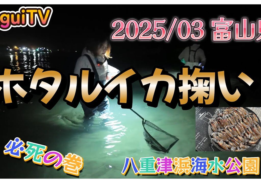 【入れ食いTV】富山県にホタルイカ掬いにきました。今年は新月3日前からの意気込み～https://youtu.be/1e-iAYRxoIk　入れ食いTV
