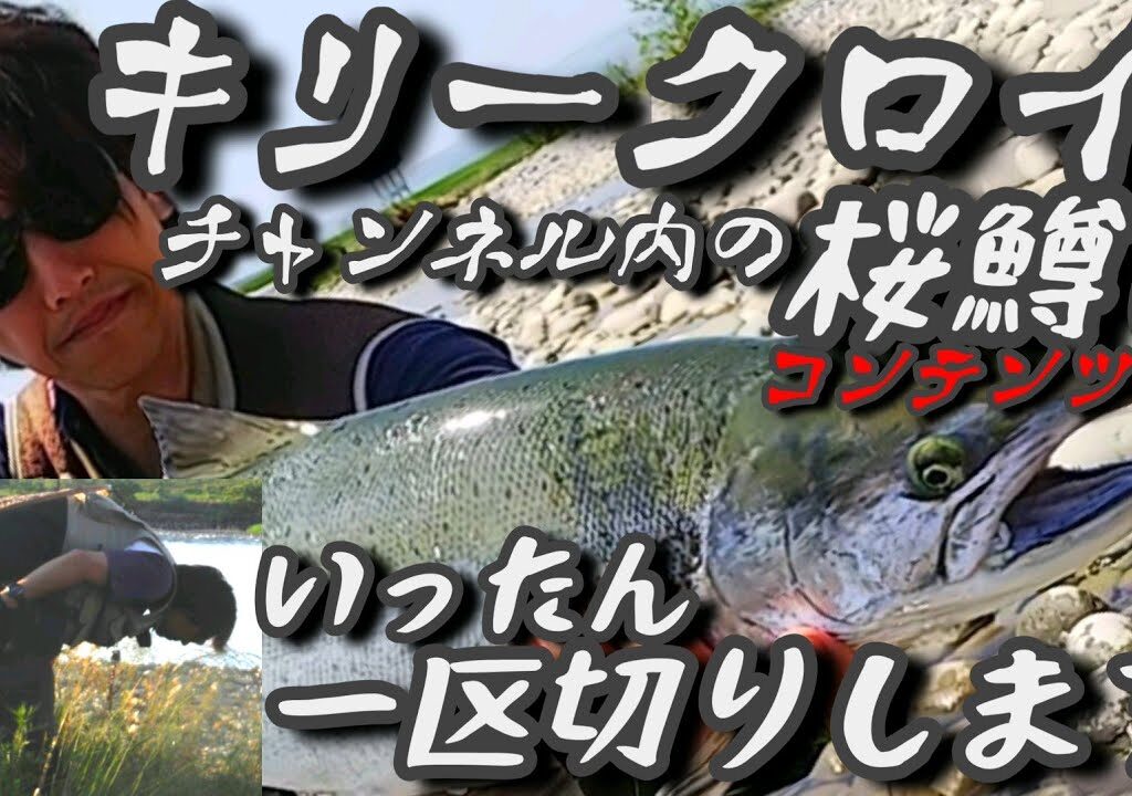 桜鱒コンテンツいったん休止しますm(_ _)m