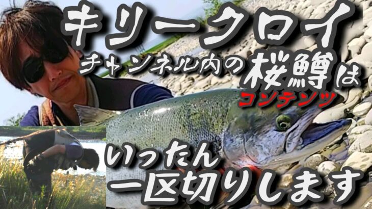 桜鱒コンテンツいったん休止しますm(_ _)m