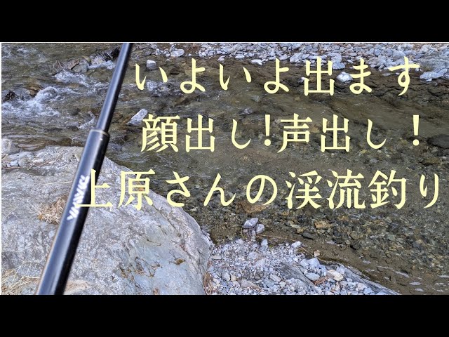 いよいよ出ます顔出し声出し上原さんの渓流釣り🫣よろしくお願いします🙇