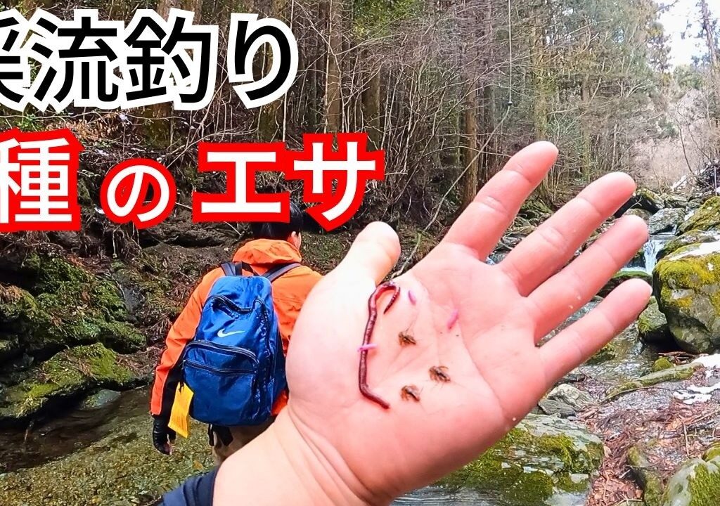 渓流のアメゴ（アマゴ）釣り！解禁日に釣れるエサはどれだ？