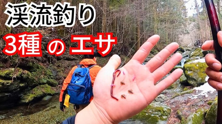 渓流のアメゴ（アマゴ）釣り！解禁日に釣れるエサはどれだ？
