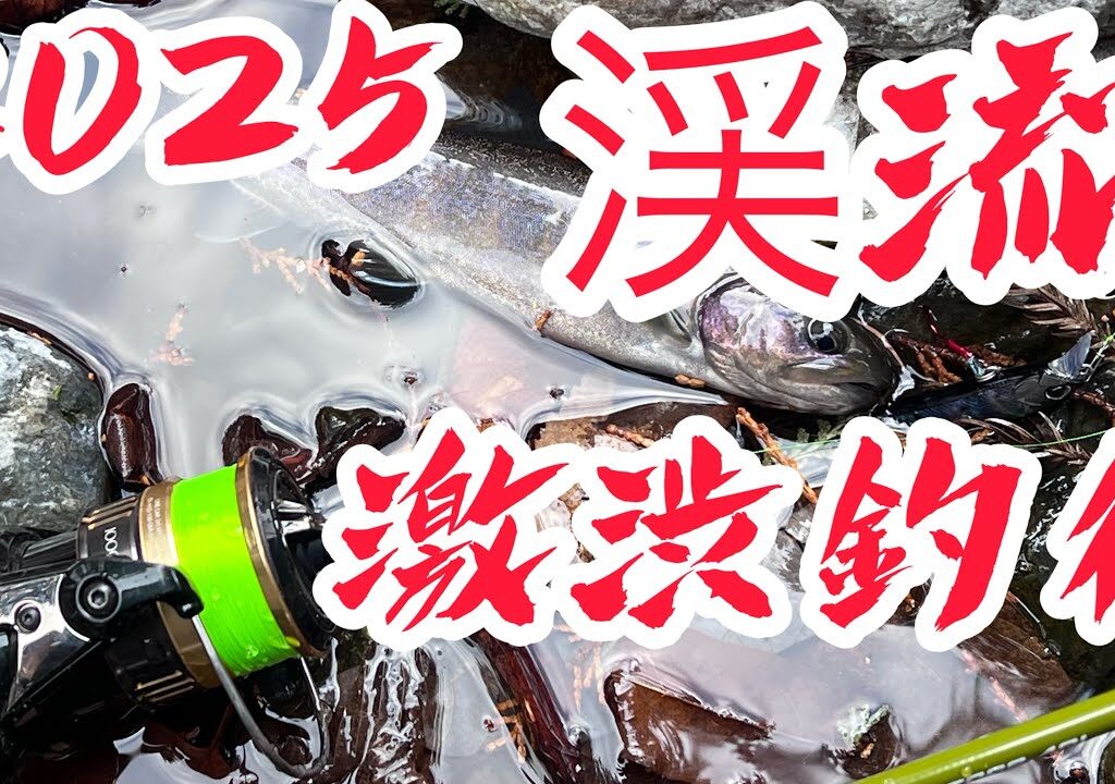 ２０２５渓流解禁激渋釣行釣れるのか