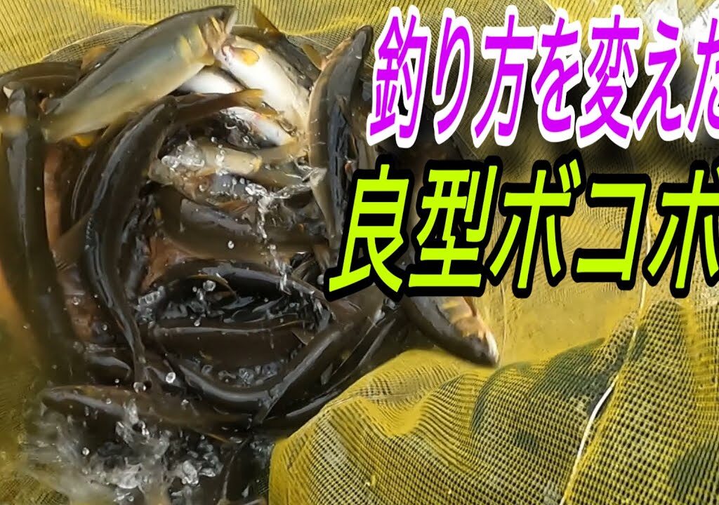 釣り方を変えたら良型ボコボコ　午前と午後で倍の釣果