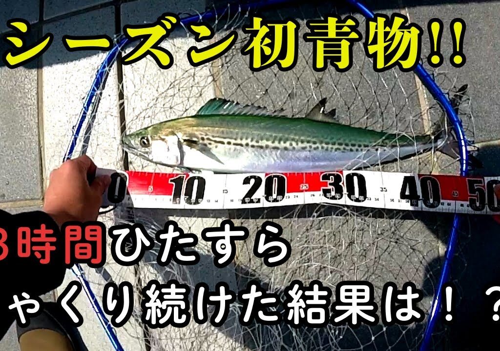 今シーズン初青物、ようやく釣れました…。 13時間しゃくり続けると、、、。　ショアジギング
