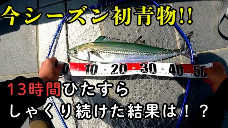 今シーズン初青物、ようやく釣れました…。 13時間しゃくり続けると、、、。　ショアジギング
