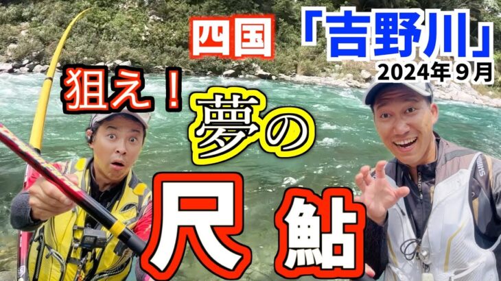 【鮎釣り2024】感じた事の無いトルク！高知県吉野川で尺鮎を狙え！強烈なファイトにドラゴンフォースで挑む！