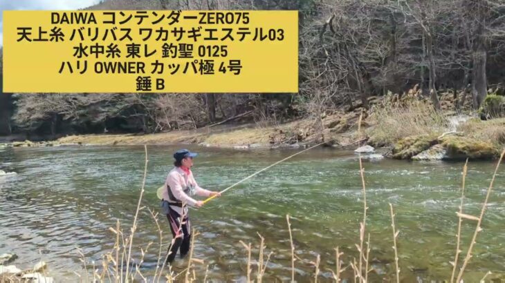 渓流釣り2025 ヤマメの顔が見れたぞ！！