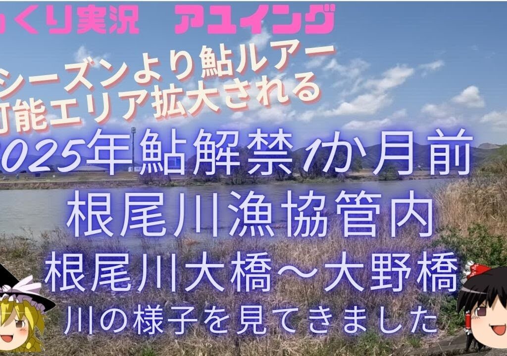 【ゆっくり実況】【ゆっくり釣り】【根尾川鮎ルアー】2025年鮎解禁前に今シーズンから鮎ルアーエリアが拡大された根尾川漁協管内の様子です。