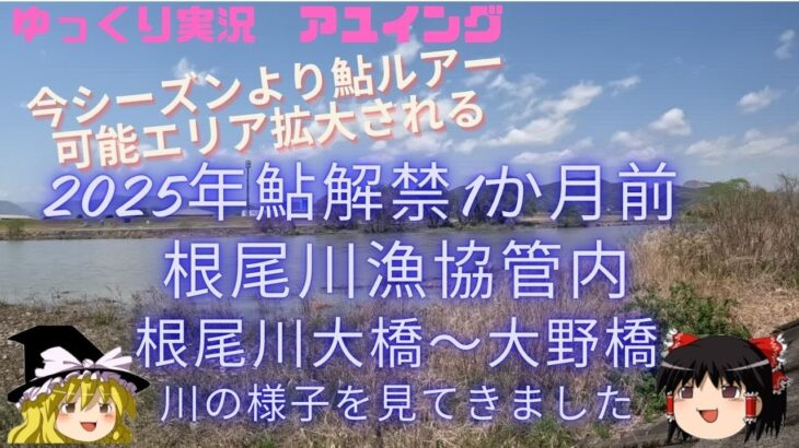 【ゆっくり実況】【ゆっくり釣り】【根尾川鮎ルアー】2025年鮎解禁前に今シーズンから鮎ルアーエリアが拡大された根尾川漁協管内の様子です。