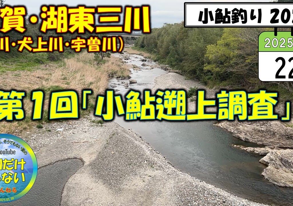【小鮎釣り2025】第1回「小鮎遡上調査」、滋賀・湖東三川（芹川・犬上川・宇曽川）
