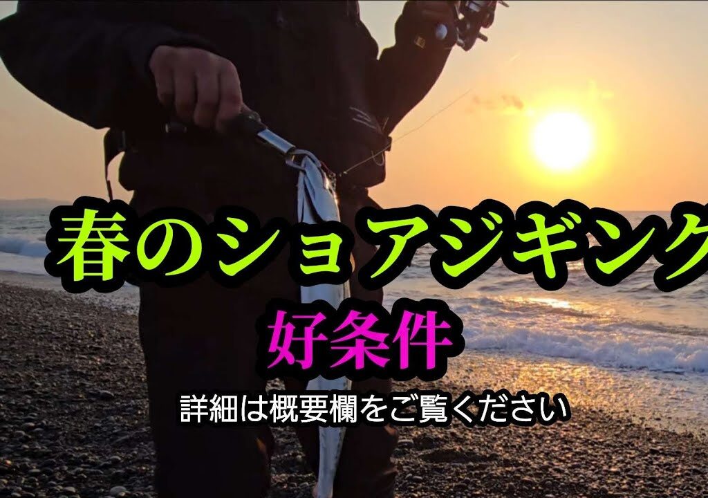 【ショアジギング】活性が高かった要因4/26夕まずめ釣行記(詳細は概要欄で説明しています)