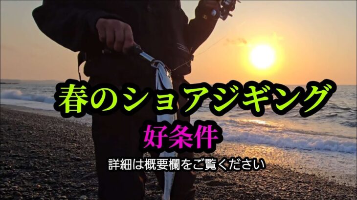 【ショアジギング】活性が高かった要因4/26夕まずめ釣行記(詳細は概要欄で説明しています)