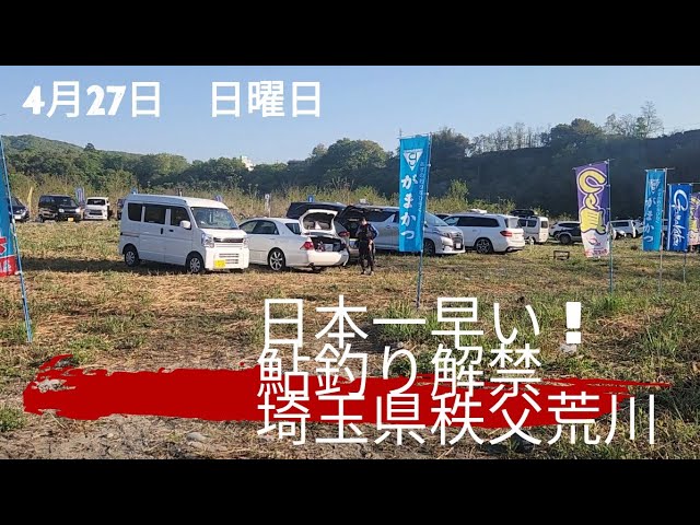 日本一早い鮎釣り解禁埼玉県秩父荒川　4月27日