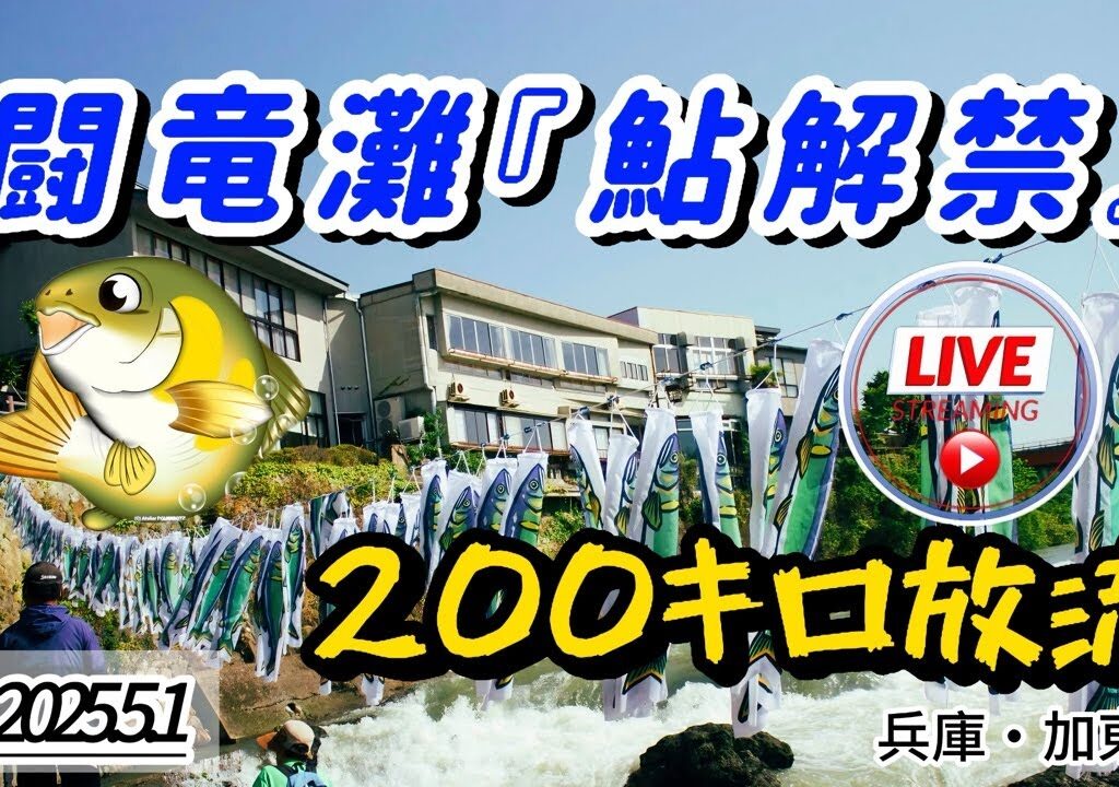 鮎解禁の闘竜灘から LIVE配信中継🔴5月1日　日本一早い⁉︎