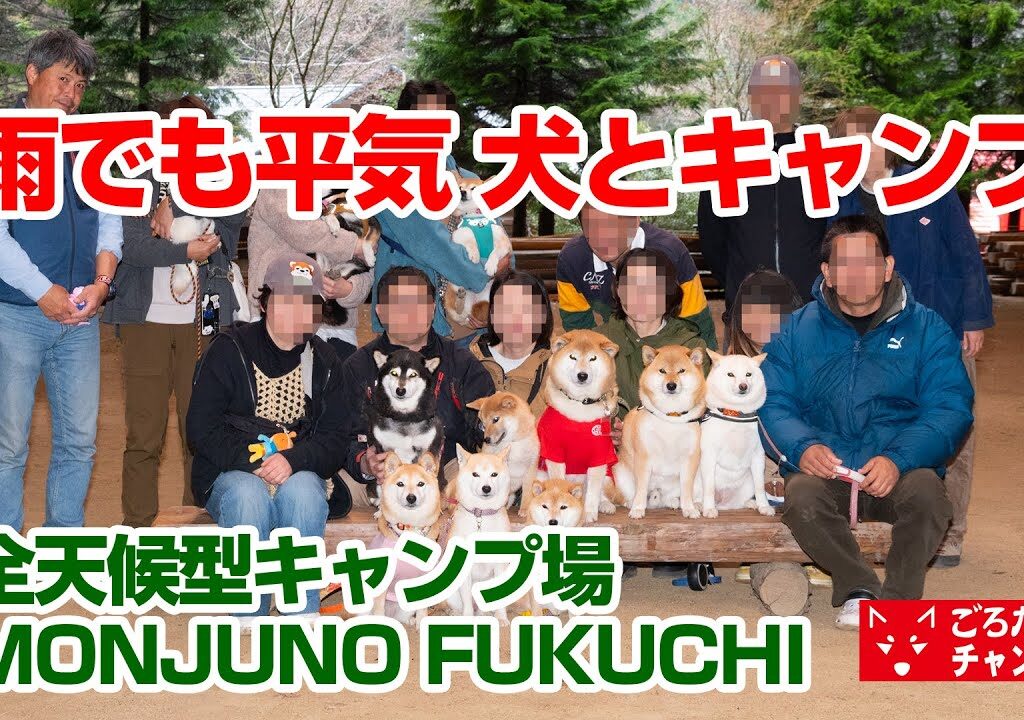 雨でも平気な犬とキャンプMONJUNOFUKUCHIキャンプ場