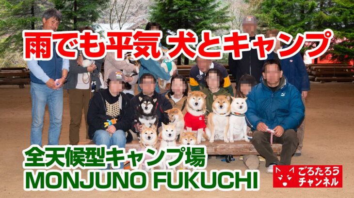 雨でも平気な犬とキャンプMONJUNOFUKUCHIキャンプ場