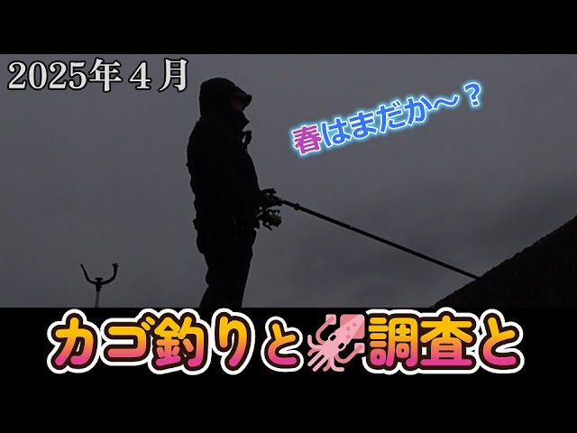 【カゴ釣り】 春は遠きかな？南紀の波止でカゴ釣り＆アオリイカ調査？　VOICEVOX