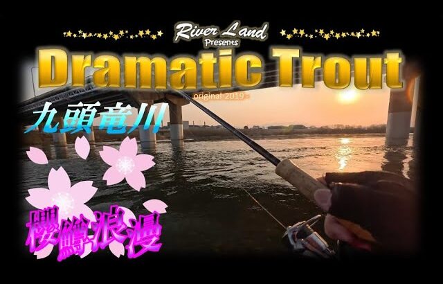 サクラマス浪漫 九頭竜川２５年目の宝探し ～ドラマティックトラウト trout fishing japan
