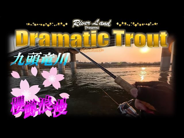 サクラマス浪漫 九頭竜川２５年目の宝探し ～ドラマティックトラウト trout fishing japan