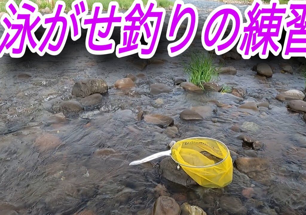 泳がせの練習