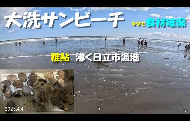 大洗海岸で潮干狩りと日立市の港状況調査