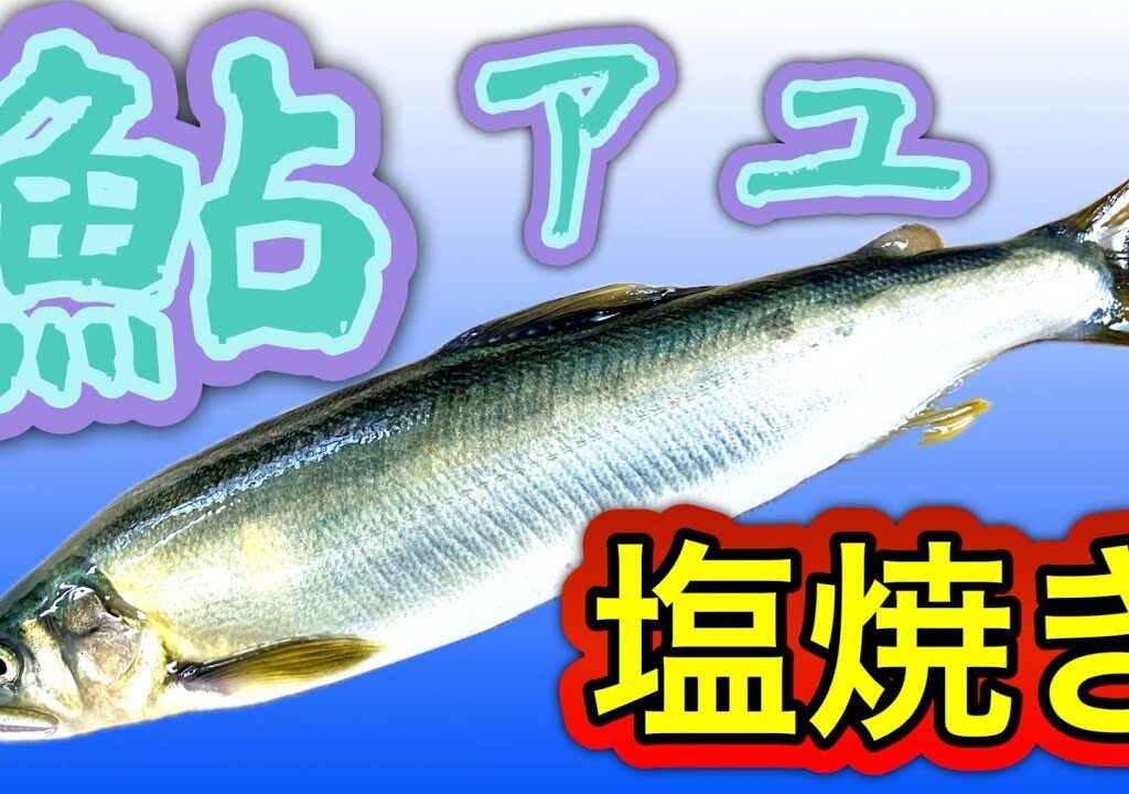 鮎 アユ　塩焼き