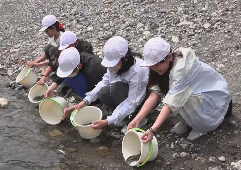 児童２０人が川に稚アユを放流体験「もっと大きくなってほしい」　三重・紀北町　銚子川