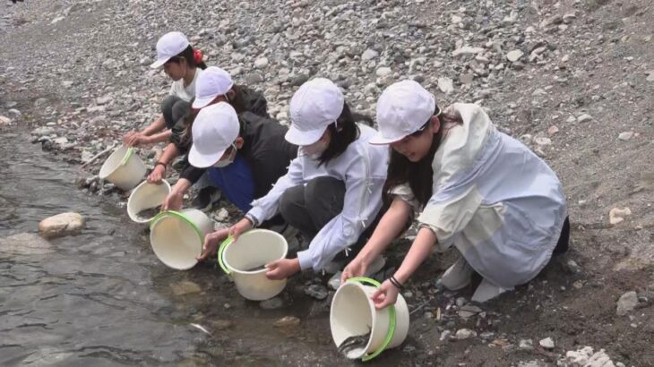 児童２０人が川に稚アユを放流体験「もっと大きくなってほしい」　三重・紀北町　銚子川