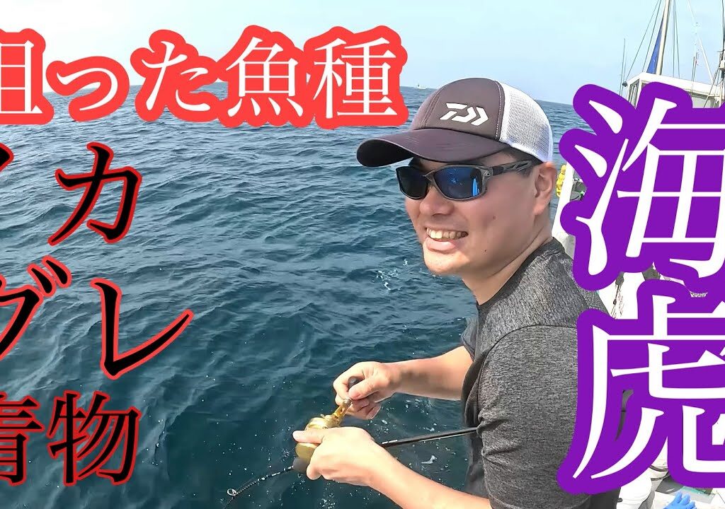 イカ、グレ、青物全て釣れるの？❗️和歌山釣り