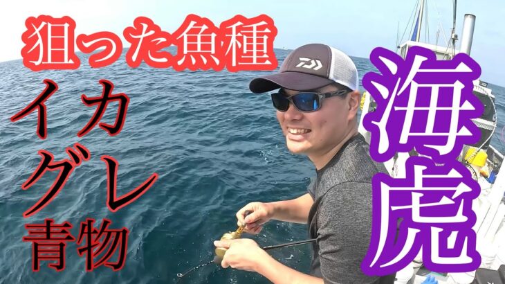 イカ、グレ、青物全て釣れるの？❗️和歌山釣り
