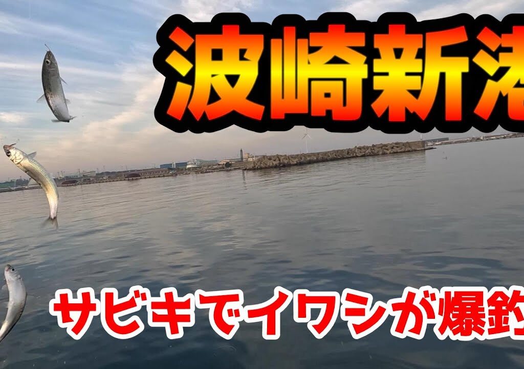 茨城の波崎新港でサビキ釣りしてみたらイワシが爆釣！！