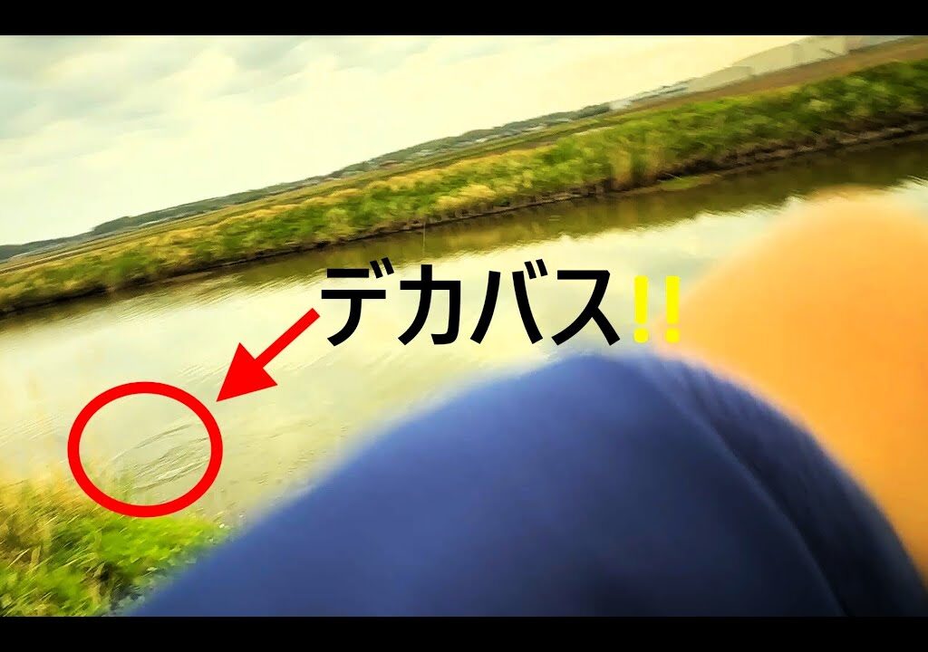【霞ヶ浦水系】超超大人気流入河川バス釣り釣行！！　#バス釣り #霞ヶ浦バス釣り