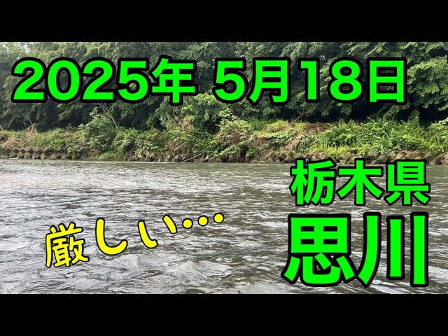 [アユ釣り 10] 栃木県思川  解禁日（2025年5月18日）