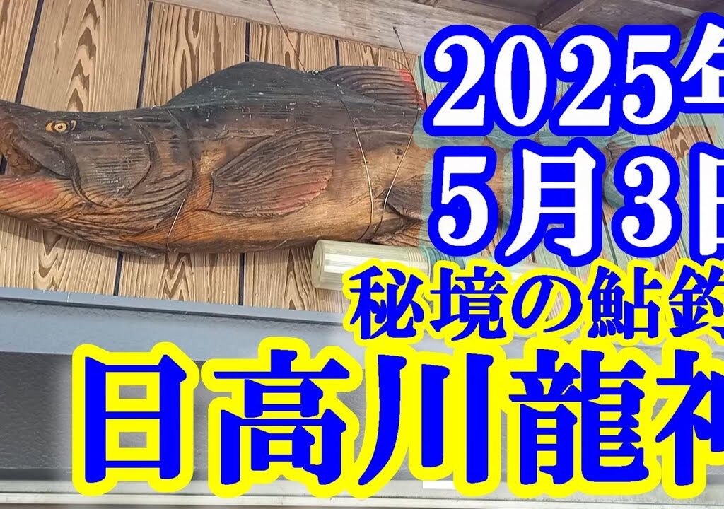 鮎釣り 10cm高垢良好 高串 日高川龍神 2025年
