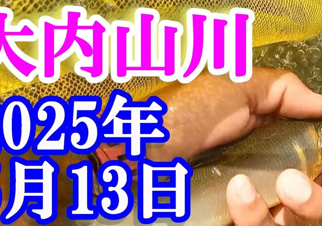 鮎釣り 10cm高引水垢良好 岩船橋下 平瀬橋上下 大内山川 2025年 背掛かりDNAを釣る