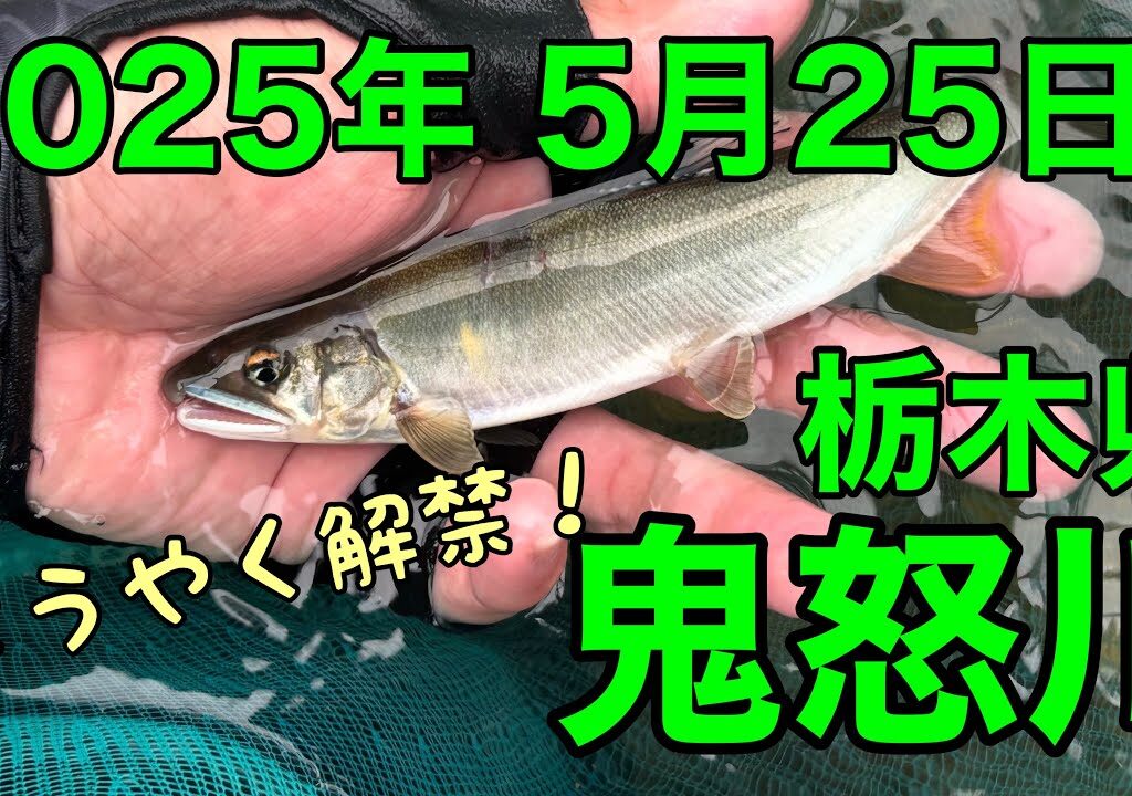 [アユ釣り 11] 栃木県鬼怒川  解禁日（2025年5月25日）