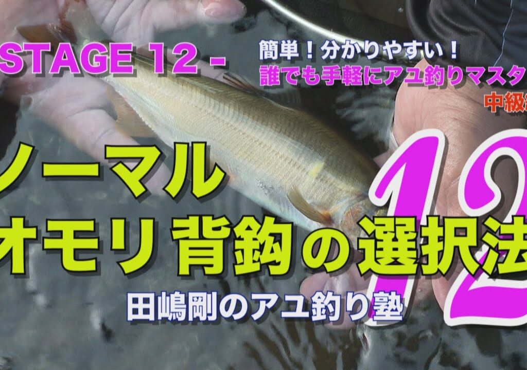 田嶋剛のアユ釣り塾12 ～ノーマル・オモリ・背鈎の選択法～