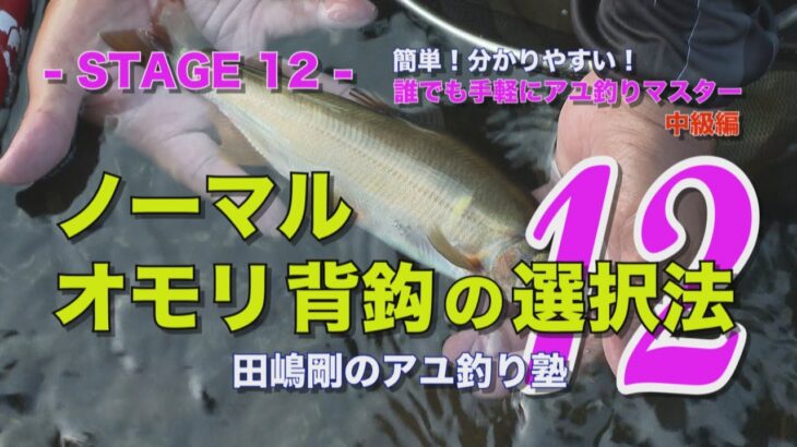 田嶋剛のアユ釣り塾12 ～ノーマル・オモリ・背鈎の選択法～