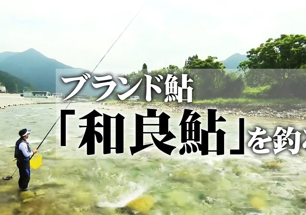 井川弘二郎がブランド鮎・和良鮎を釣る 1/2 『鮎2020 和良川』【釣りビジョン】