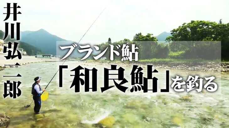 井川弘二郎がブランド鮎・和良鮎を釣る 1/2 『鮎2020 和良川』【釣りビジョン】