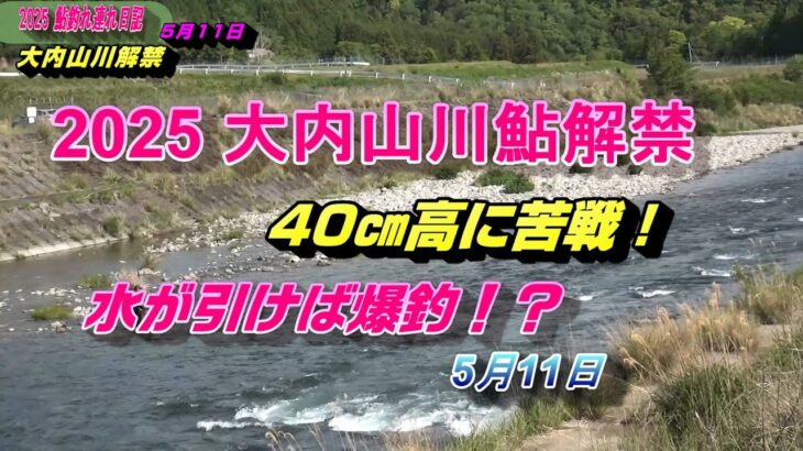 2025 05 11大内山川鮎解禁40㎝高 引き水で爆釣！？